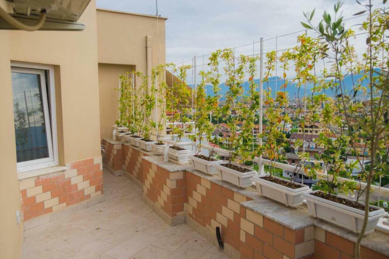 Modern Furnished Apartment With View Тирана Экстерьер фото
